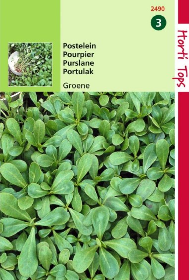 Purslane green (Portulaca oleracea) 20000 seeds